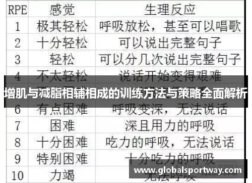 增肌与减脂相辅相成的训练方法与策略全面解析